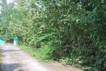 ขายที่ดิน100ตรวคลอง8-ธัญบุรี-ซอู่สง่าศักดิ์ยนต์การ-ห่างจาก-ถรังสิตนครนายกเพียง160-ม-ราคา-890000