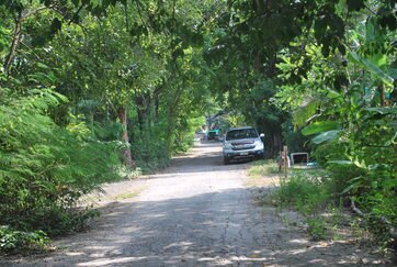 ขายที่ดิน100ตรวคลอง8-ธัญบุรี-ซอู่สง่าศักดิ์ยนต์การ-ห่างจาก-ถรังสิตนครนายกเพียง160-ม-ราคา-890000