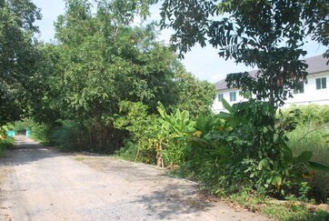 ขายที่ดิน100ตรวคลอง8-ธัญบุรี-ซอู่สง่าศักดิ์ยนต์การ-ห่างจาก-ถรังสิตนครนายกเพียง160-ม-ราคา-890000