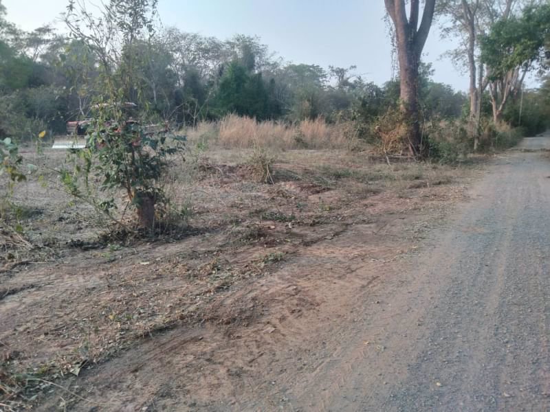 ขายที่ดินทำบ้านถมแล้ว-200-ตรวมีไฟฟ้า