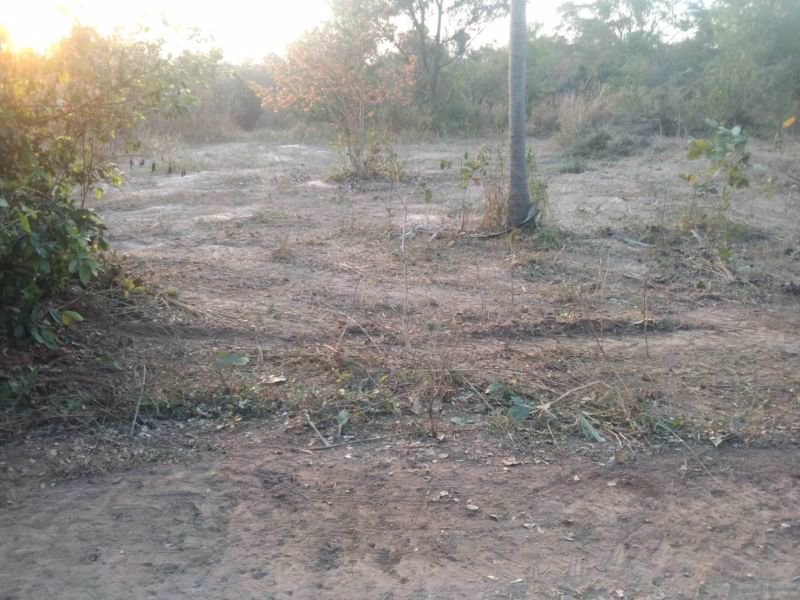 ขายที่ดินทำบ้านถมแล้ว-200-ตรวมีไฟฟ้า