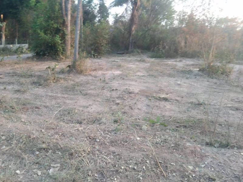 ขายที่ดินทำบ้านถมแล้ว-200-ตรวมีไฟฟ้า