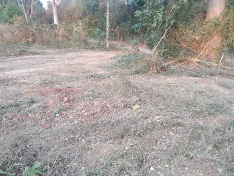 ขายที่ดินทำบ้านถมแล้ว-200-ตรวมีไฟฟ้า