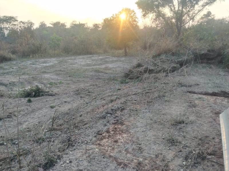 ขายที่ดินทำบ้านถมแล้ว-200-ตรวมีไฟฟ้า