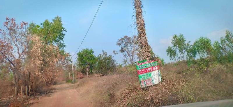 ขายที่ดินทำบ้านสวน-9ไร่