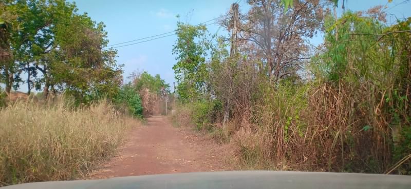 ขายที่ดินทำบ้านสวน-9ไร่