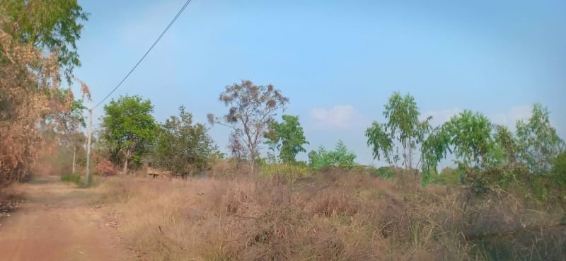 ขายที่ดินทำบ้านสวน-9ไร่