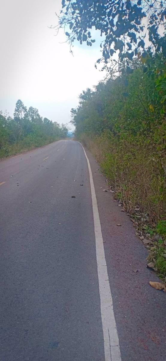 ขายที่ดินทำบ้านสวน-9ไร่