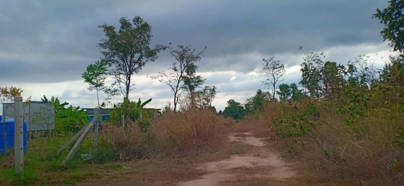 ขายที่ดินทำบ้านสวน-9ไร่