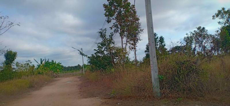 ขายที่ดินทำบ้านสวน-9ไร่