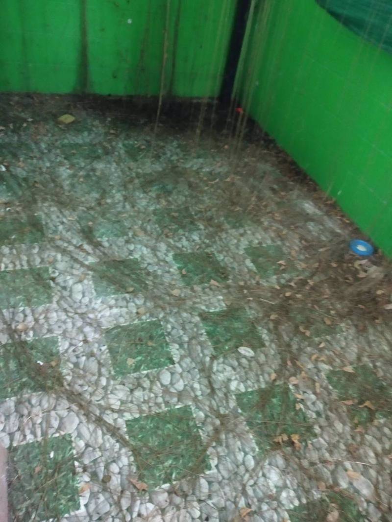 ขายทาวน์เฮ้าส์-2ชั้น-เนื้อที่-196ตารางวา-หมู่บ้านธนนันท์-วิลเลจ