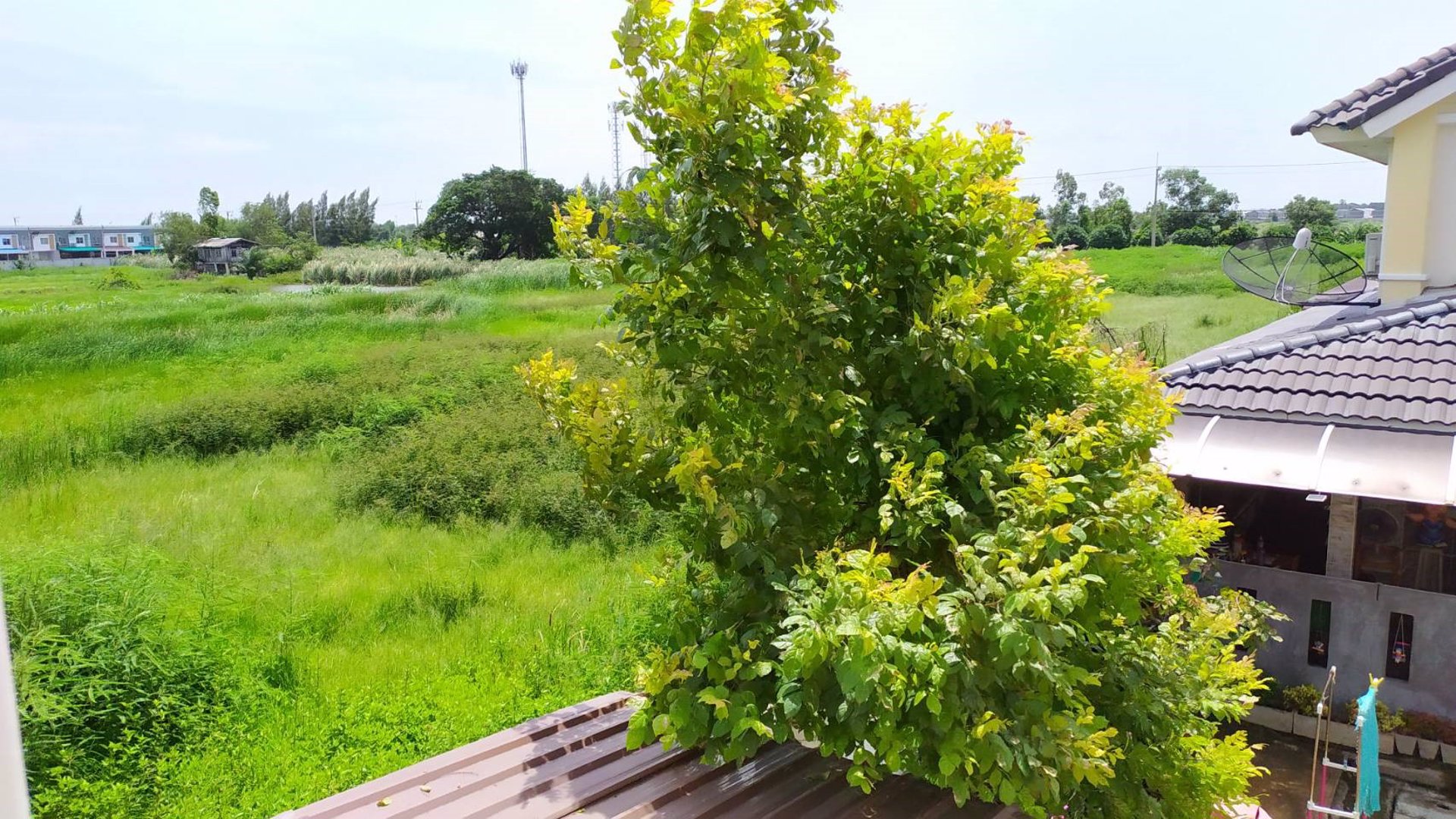 ขาย-ทาวน์เฮ้าส์2ชั้น-เนื้อที่-246-ตรว-ตคลองสาม-อคลองหลวง-จปทุมธานี