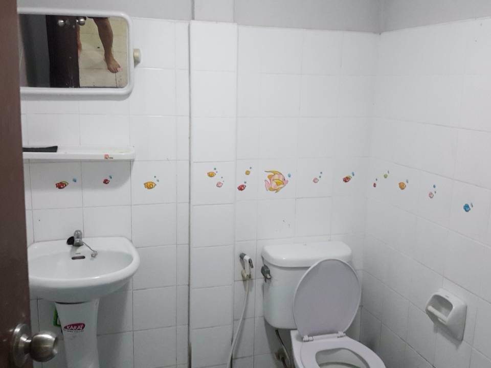 ขายทาวน์เฮ้าส์-หมู่บ้านชุมชนเอ็มพีคลองหก-ซชุมชนเอ็มพีคลองหก-เนื้อที่-203-ตรวา-แขวงรังสิต-เขตธัญบุ