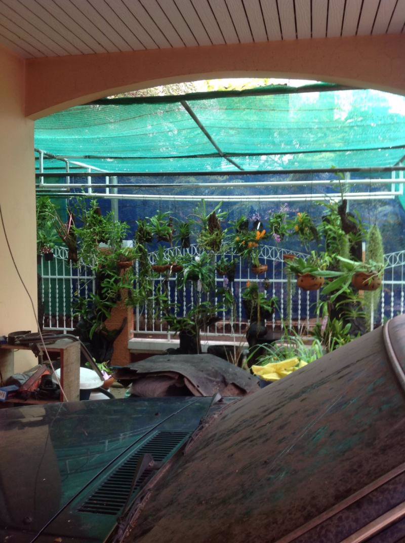 ขายทาวน์เฮ้าส์-2-ชั้น-หลังมุม-เนื้อที่รวม-36-ตรวา-หน้าบ้านหันหน้าทางทิศใต้-มบุศรินทร์-1-ตคูคต-อล