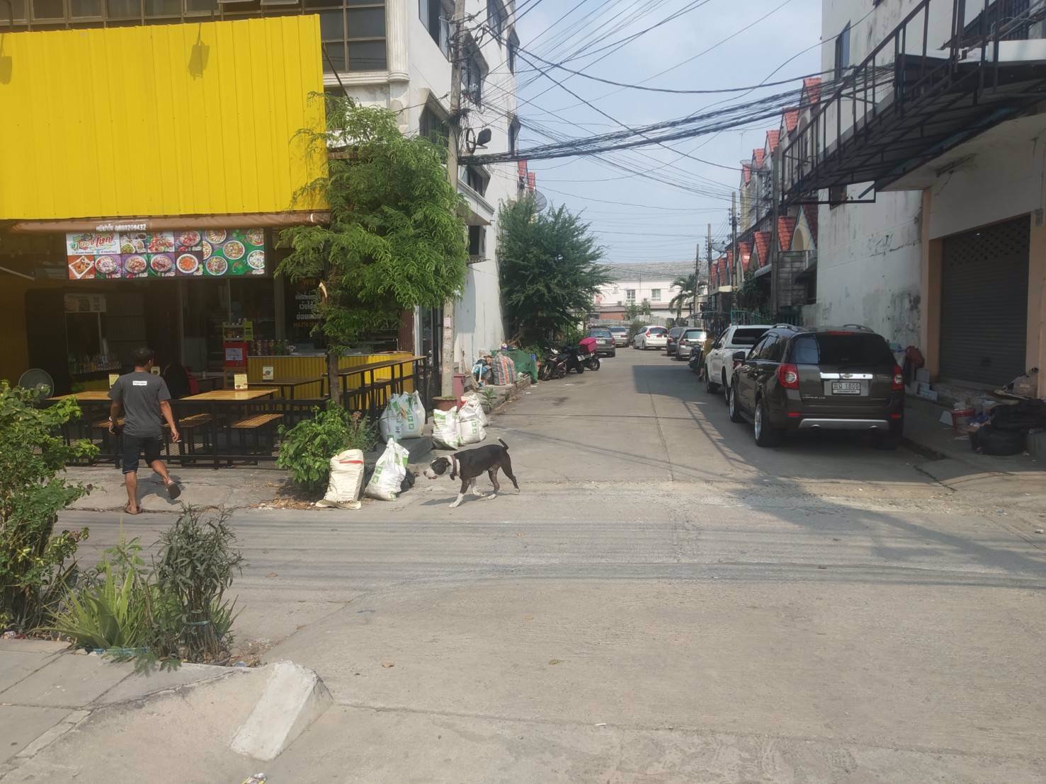 ขายทาวน์โฮม-3ชั้น-แยกพระยาสุเรนทร์-เนื้อที่-21ตรวา-แขวงบางชัน-เขตมีนบุรี-จังหวัดกรุงเทพมหานคร