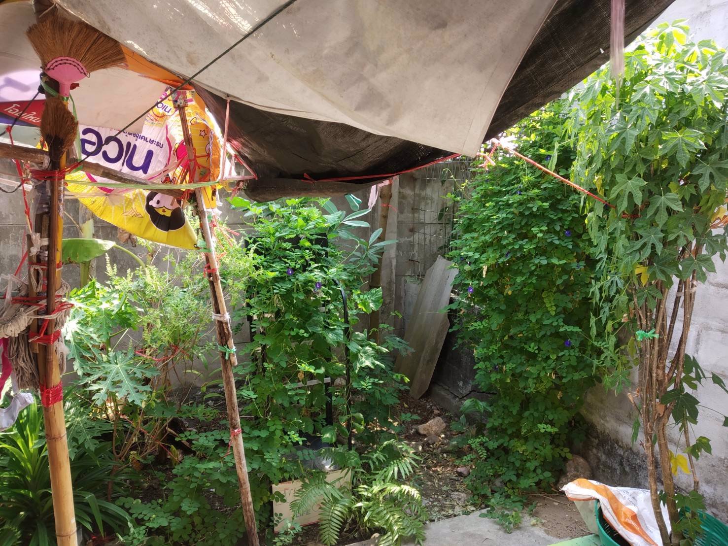 ขาย-บ้านเอื้ออาทร-พรหมณี-จนครนายก