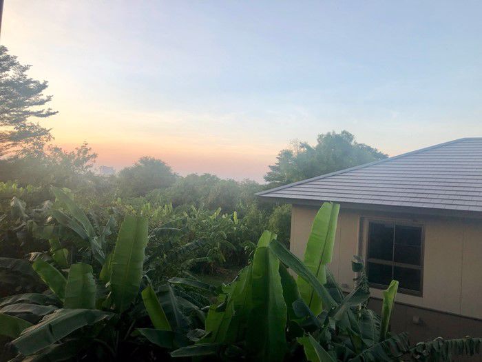 ขายแอนนา-คอนโด-เลี้ยงสัตว์ได้-ลาดพร้าว-130-รามคำแหง-81-ใกล้ท่าเรือเพียง-300-m