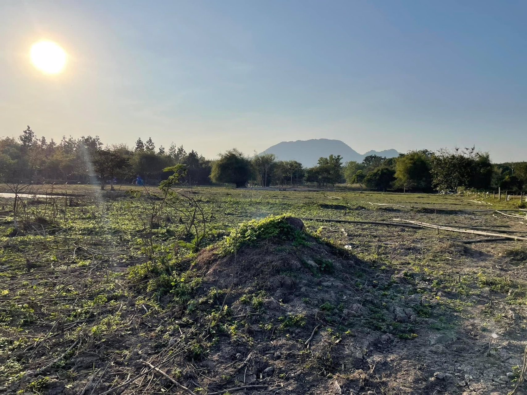 ขายที่ดินเปล่า-พิกัดบ้านหนองด่าน-ไร่ละ650000-บาท