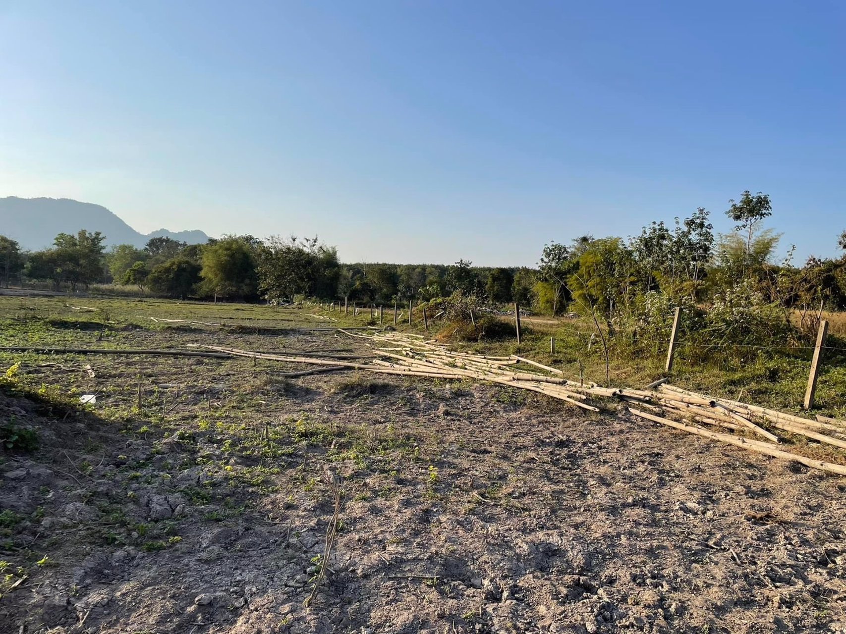 ขายที่ดินเปล่า-พิกัดบ้านหนองด่าน-ไร่ละ650000-บาท