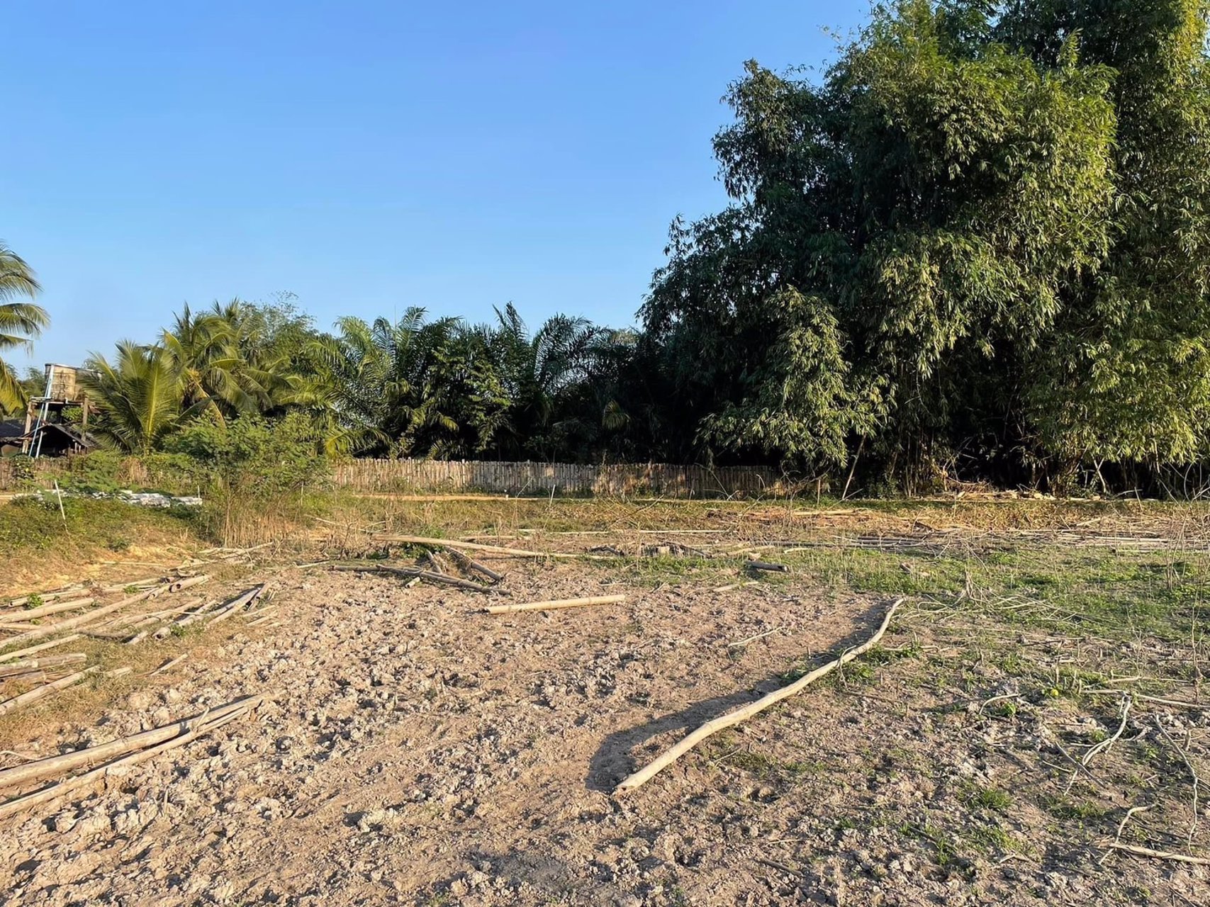 ขายที่ดินเปล่า-พิกัดบ้านหนองด่าน-ไร่ละ650000-บาท