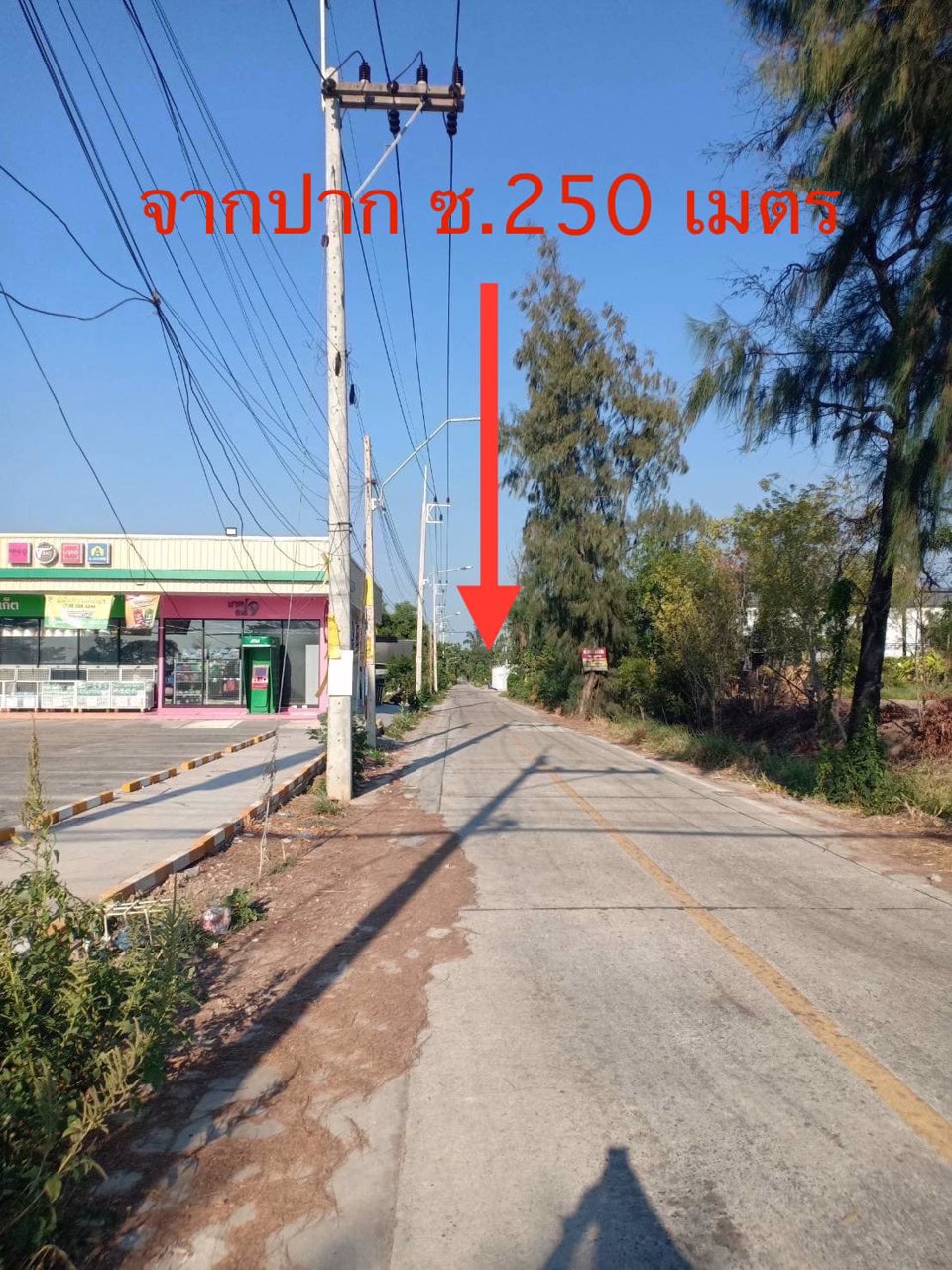 ขายด่วน-ที่ดินคลอง2-คลองหลวง-ใกล้ตลาดไท