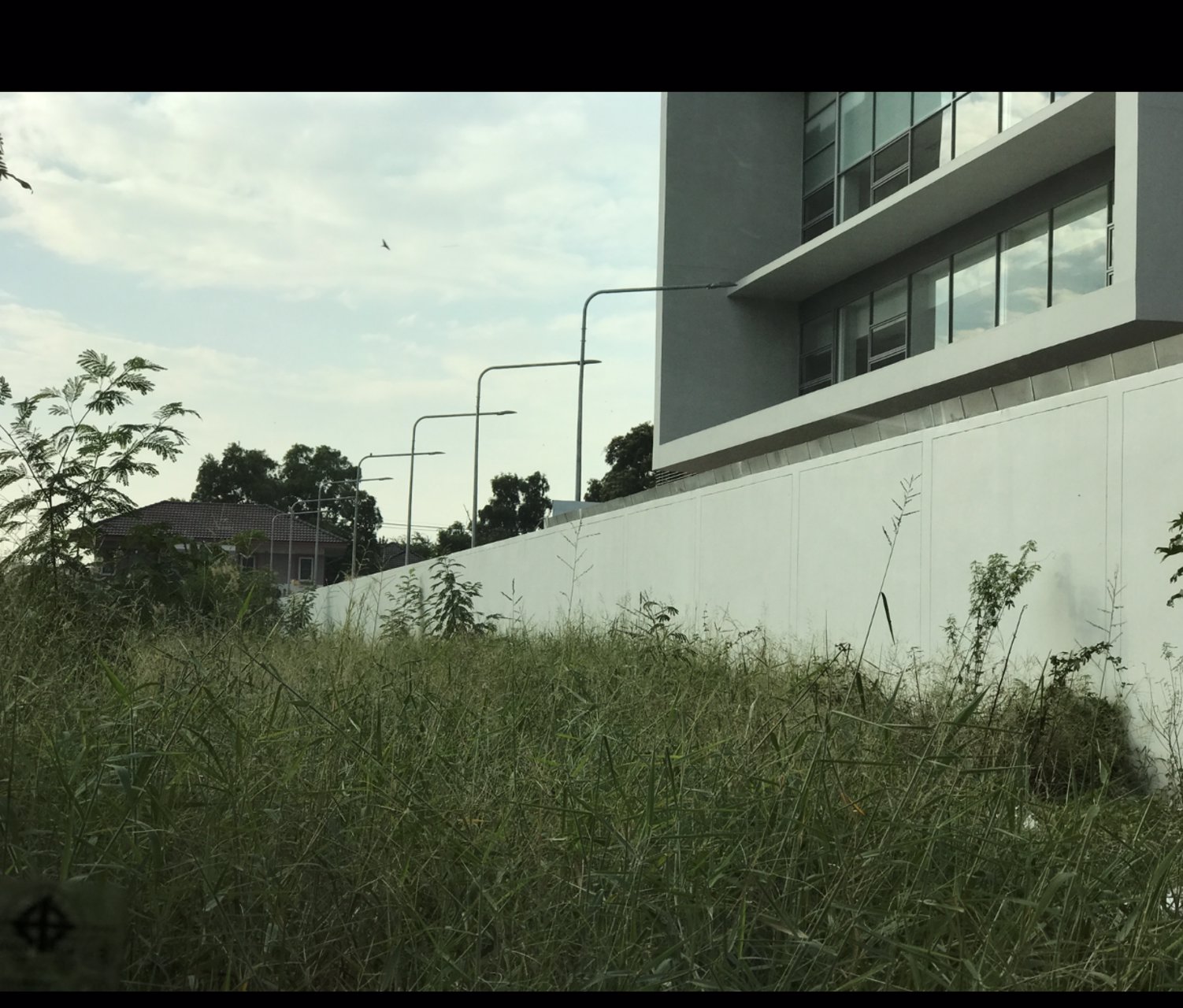 ขายที่ดิน-645-ตรว-ถนนเลี่ยงเมืองแจ้งวัฒนะ-ปากเกร็ด-24-ใกล้สถานี-รถไฟฟ้าสีชมพู