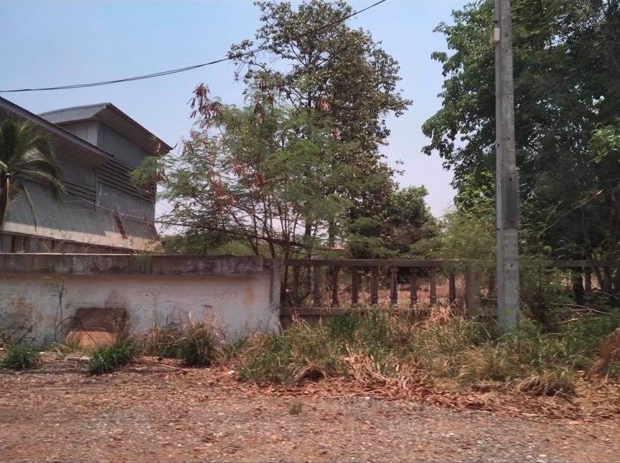 ขายที่ขอนแก่น-49-ไร่-ติดถนน-มะลิวัลย์-หน้ากว้าง-80-เมตร-ทำเลดีมาก