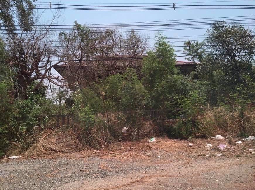 ขายที่ขอนแก่น-49-ไร่-ติดถนน-มะลิวัลย์-หน้ากว้าง-80-เมตร-ทำเลดีมาก