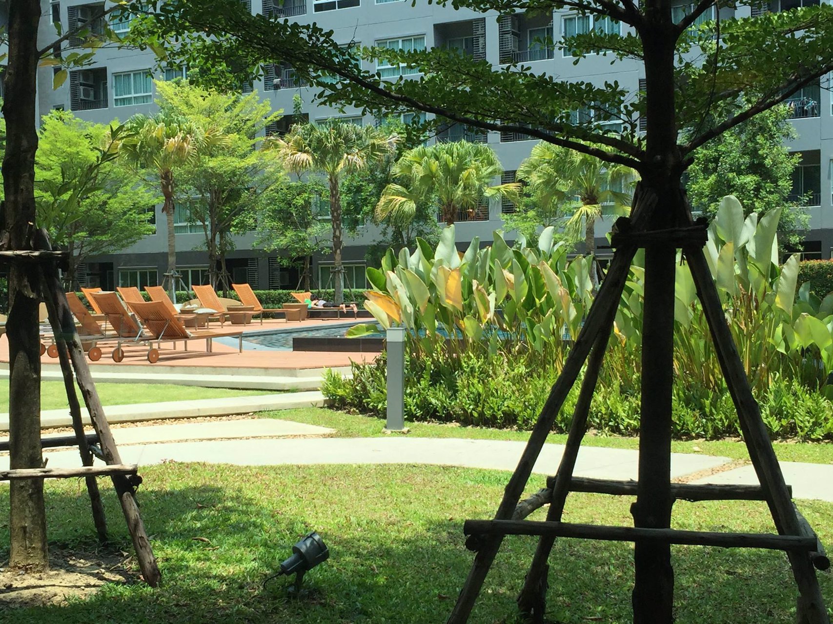 ให้เช่า-elio-del-ray-คอนโด-สุขุมวิท-64-วิวสระว่ายน้ำ-bts-ปุณณวิถี-