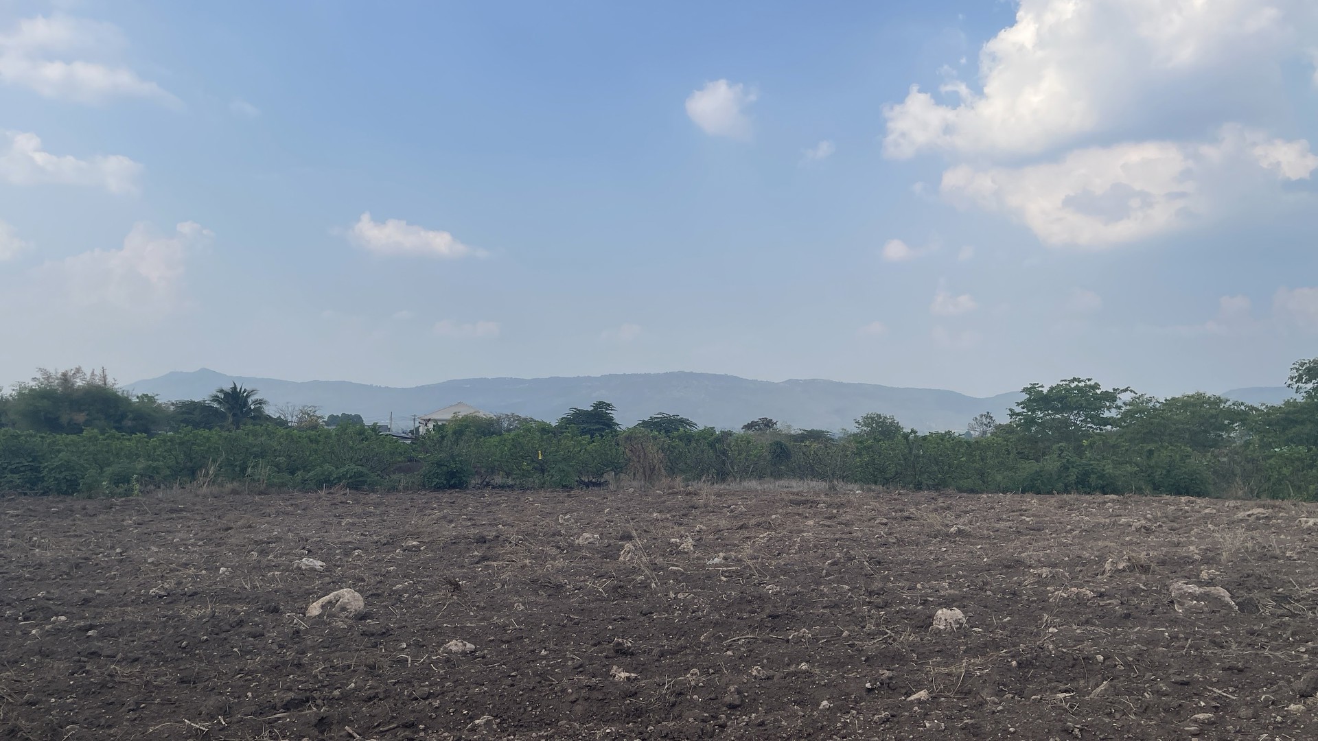 ที่ดินปากช่องวังไทรจังหวัดโคราช