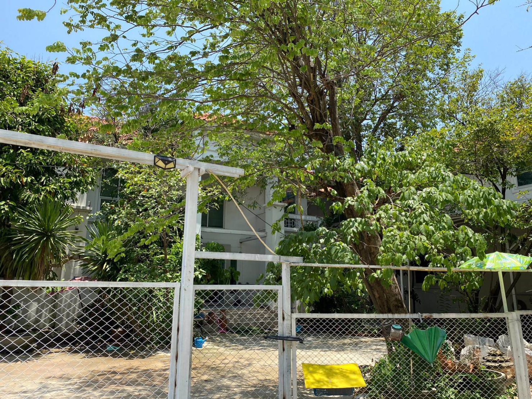 ขายที่ดินพร้อมสิ่งปลูกสร้าง-ติดถนนราชพฤกษ์