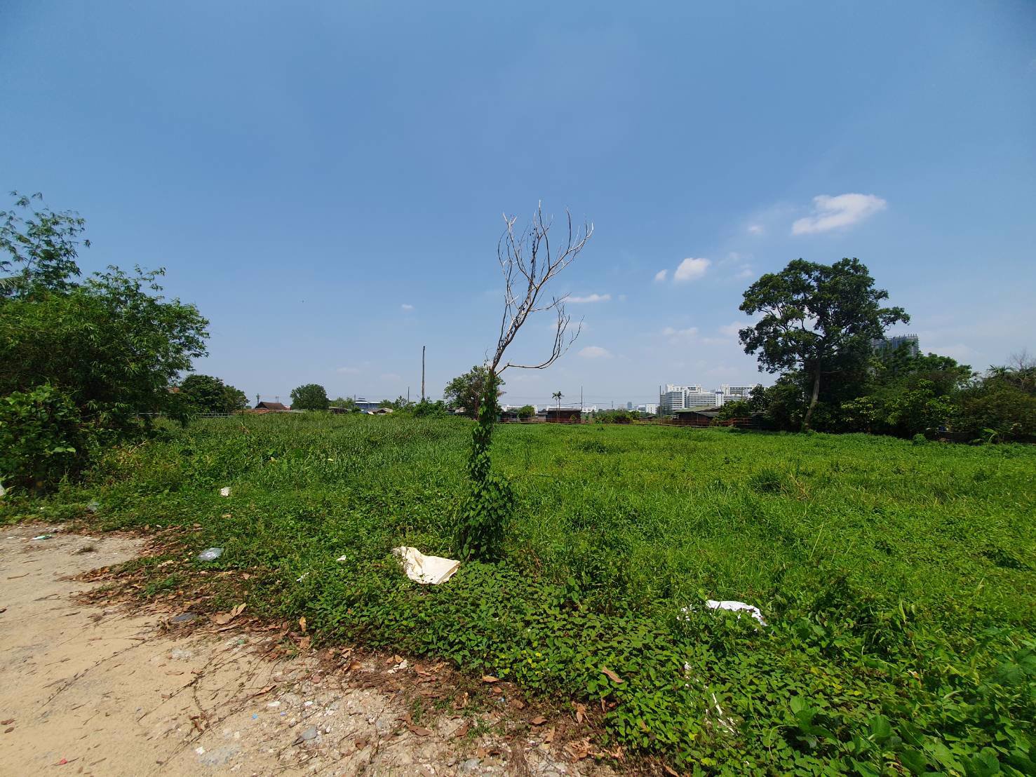 ขายที่ดินเปล่าติดแม่น้ำเจ้าพระยา