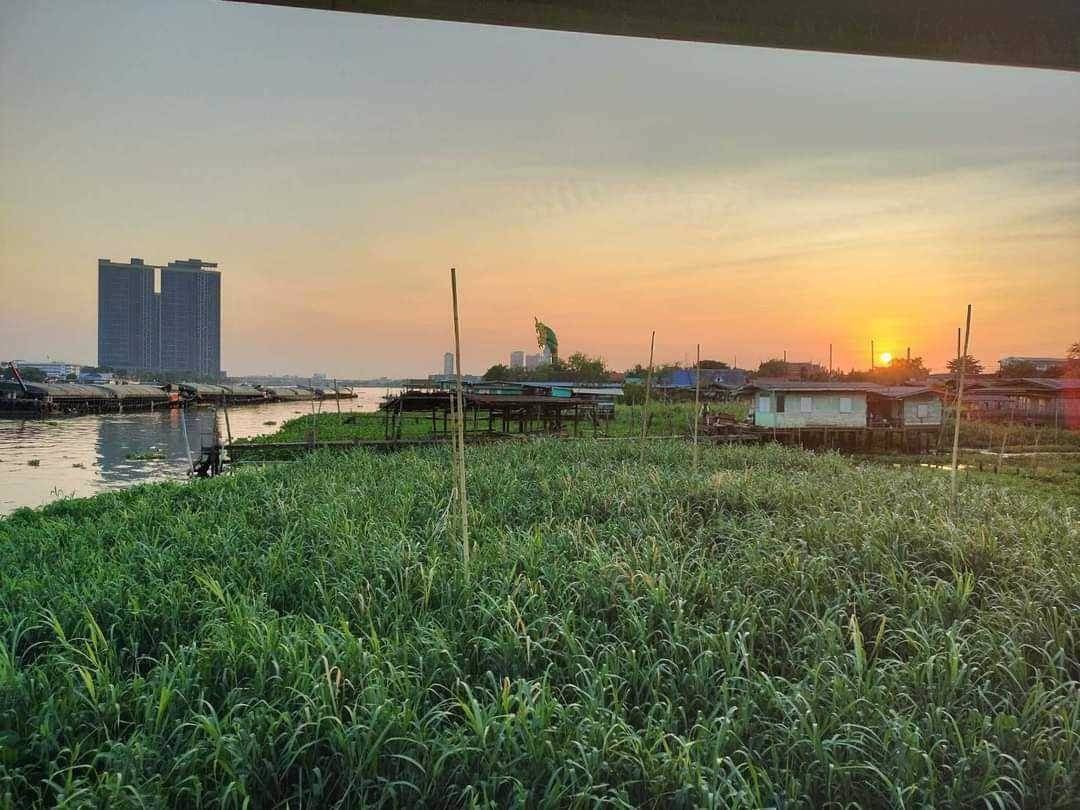 ขายที่ดินเปล่าติดแม่น้ำเจ้าพระยา