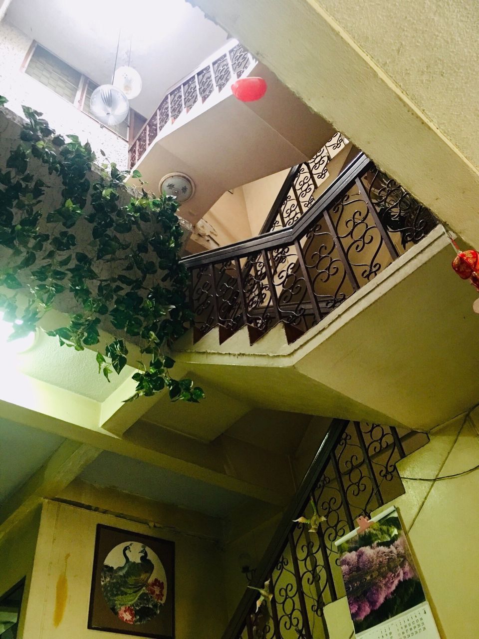 ให้เช่า-town-house-สุขุมวิท-ซ10-ราคา-60000-บาท-ต่อเดือน