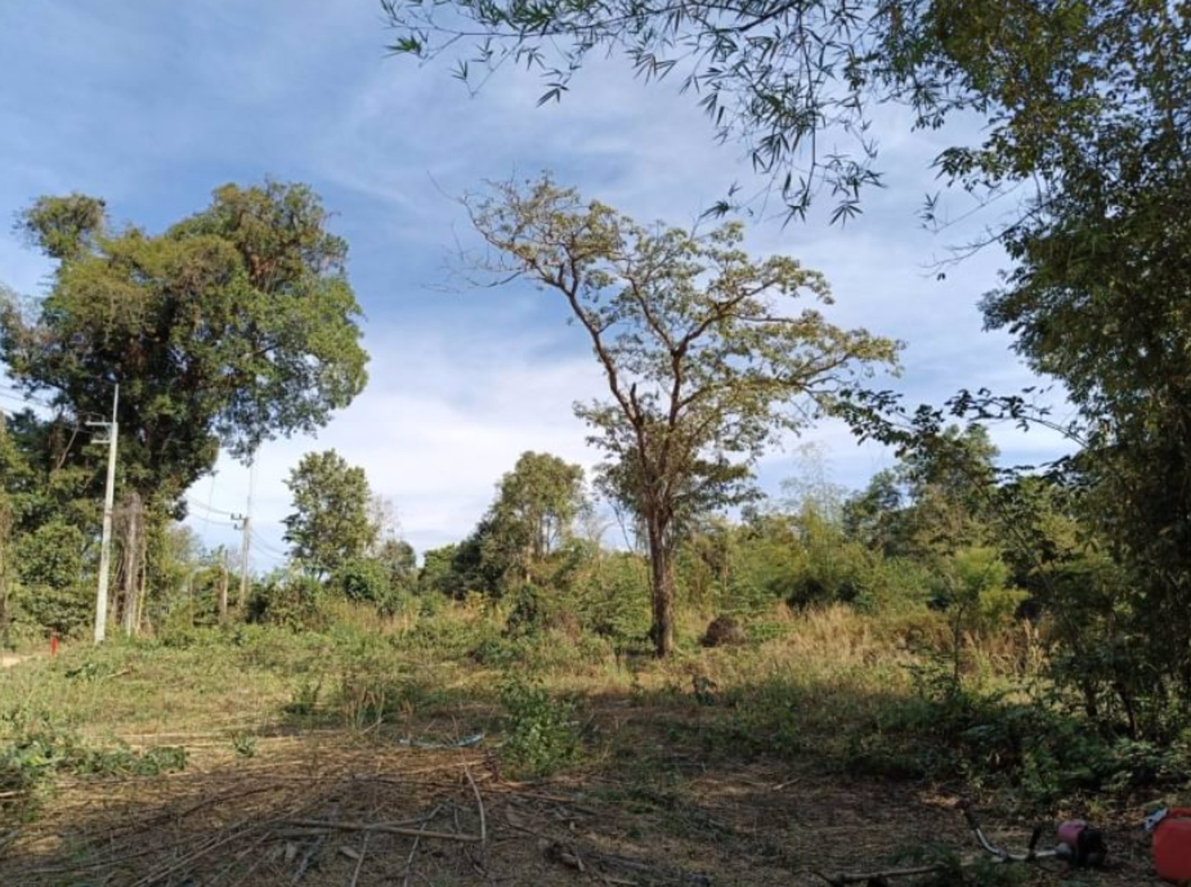 ขายที่ดินติดร้านอาหารครัวริมบึงโง้ง-ขนาด-200ตรว