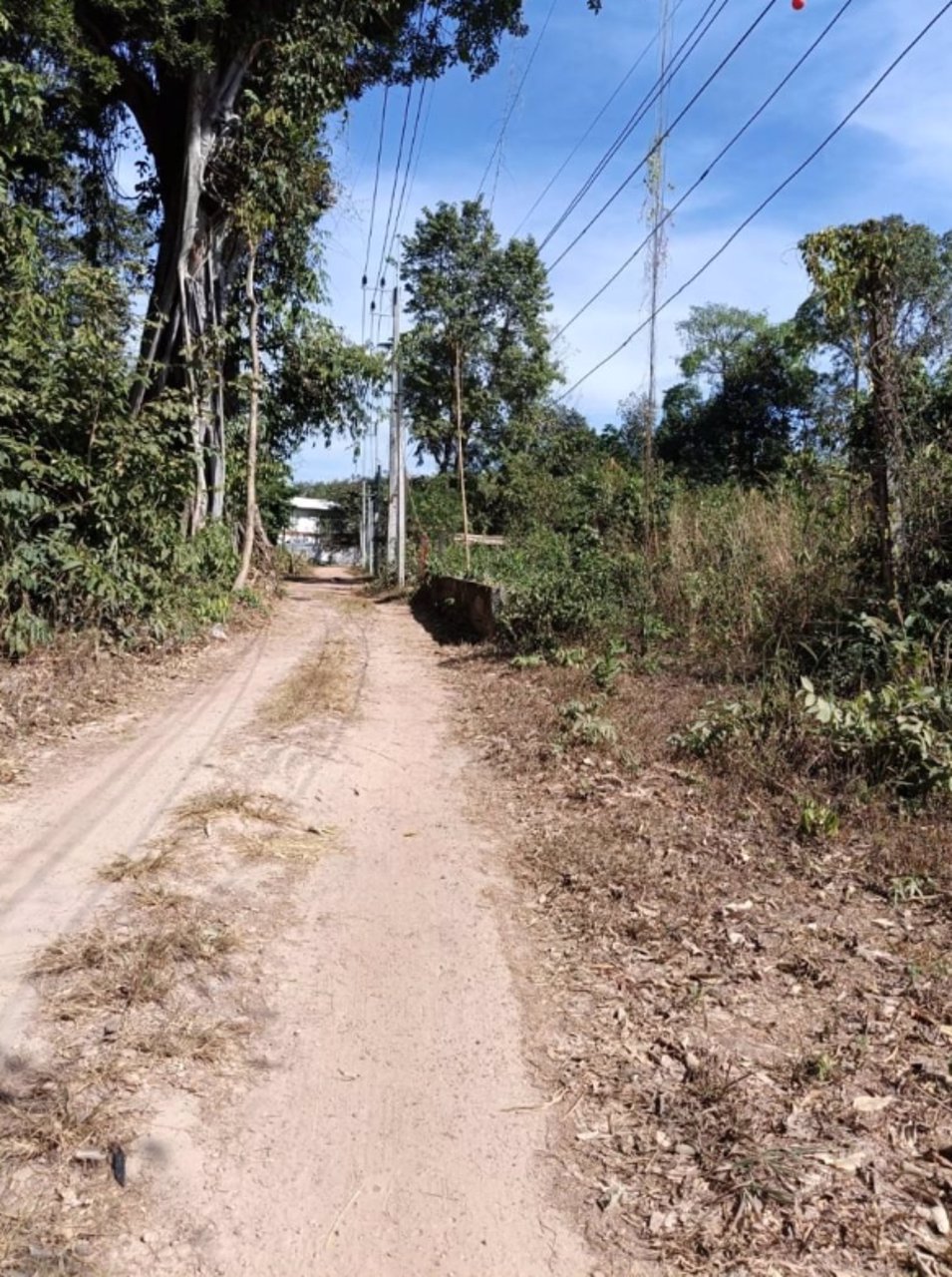 ขายที่ดินติดร้านอาหารครัวริมบึงโง้ง-ขนาด-200ตรว