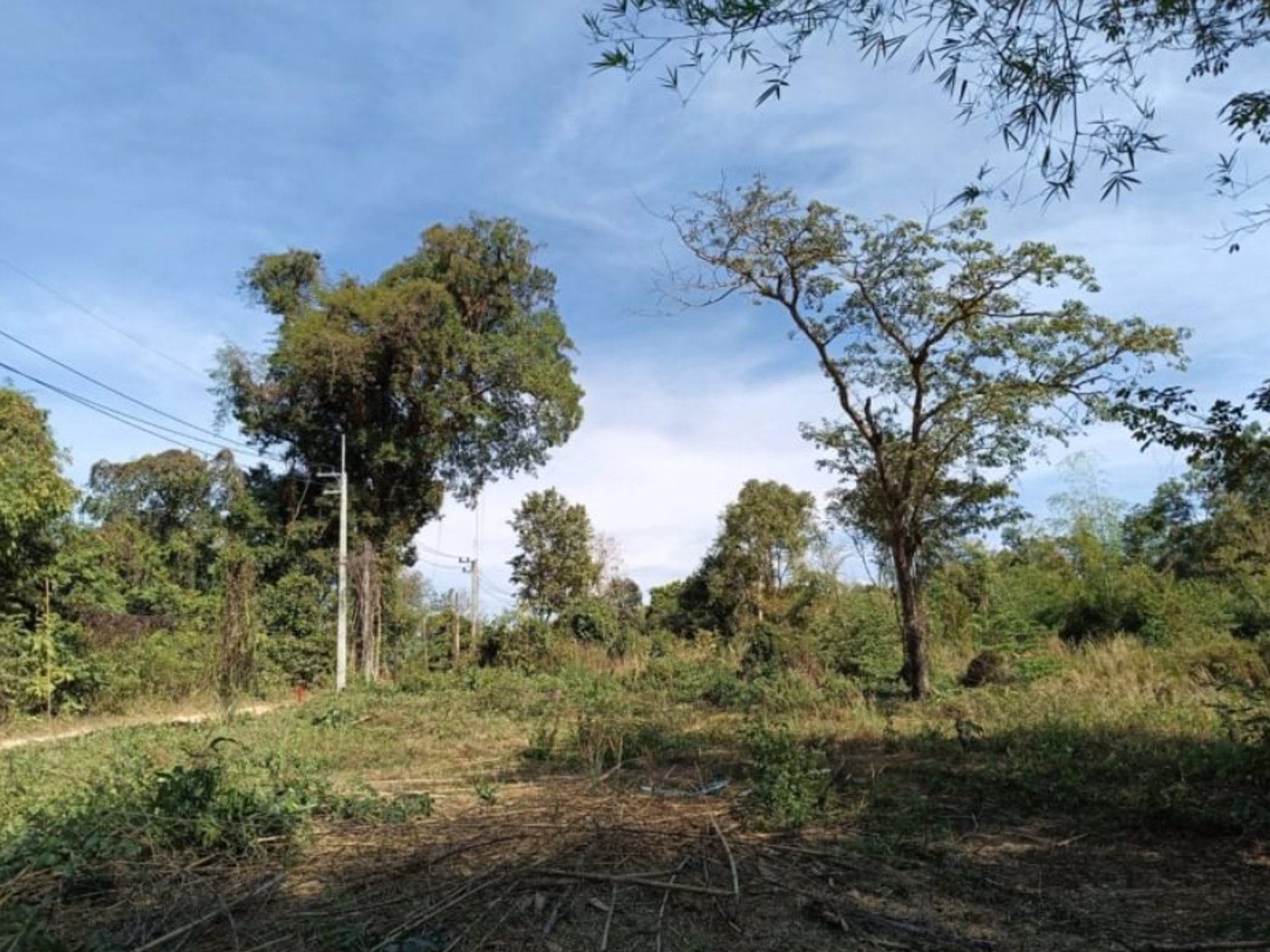 ขายที่ดินติดร้านอาหารครัวริมบึงโง้ง-ขนาด-200ตรว