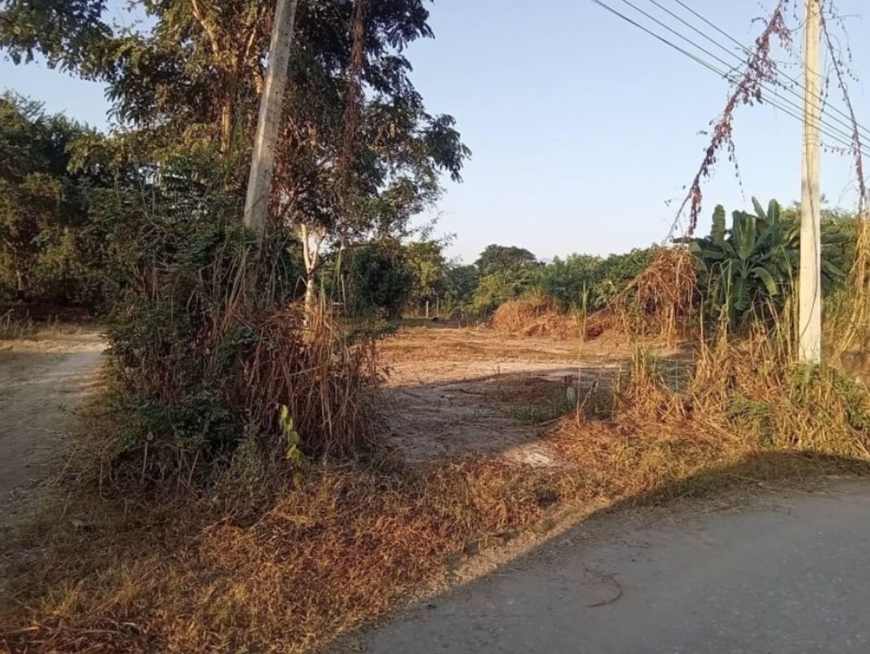 ขายที่ดินแบ่งแปลง-ขนาด-100ตรว