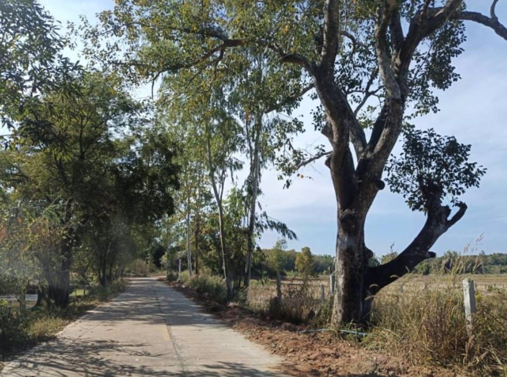 ขายที่ดินแบ่งแปลง-ขนาด-100ตรว