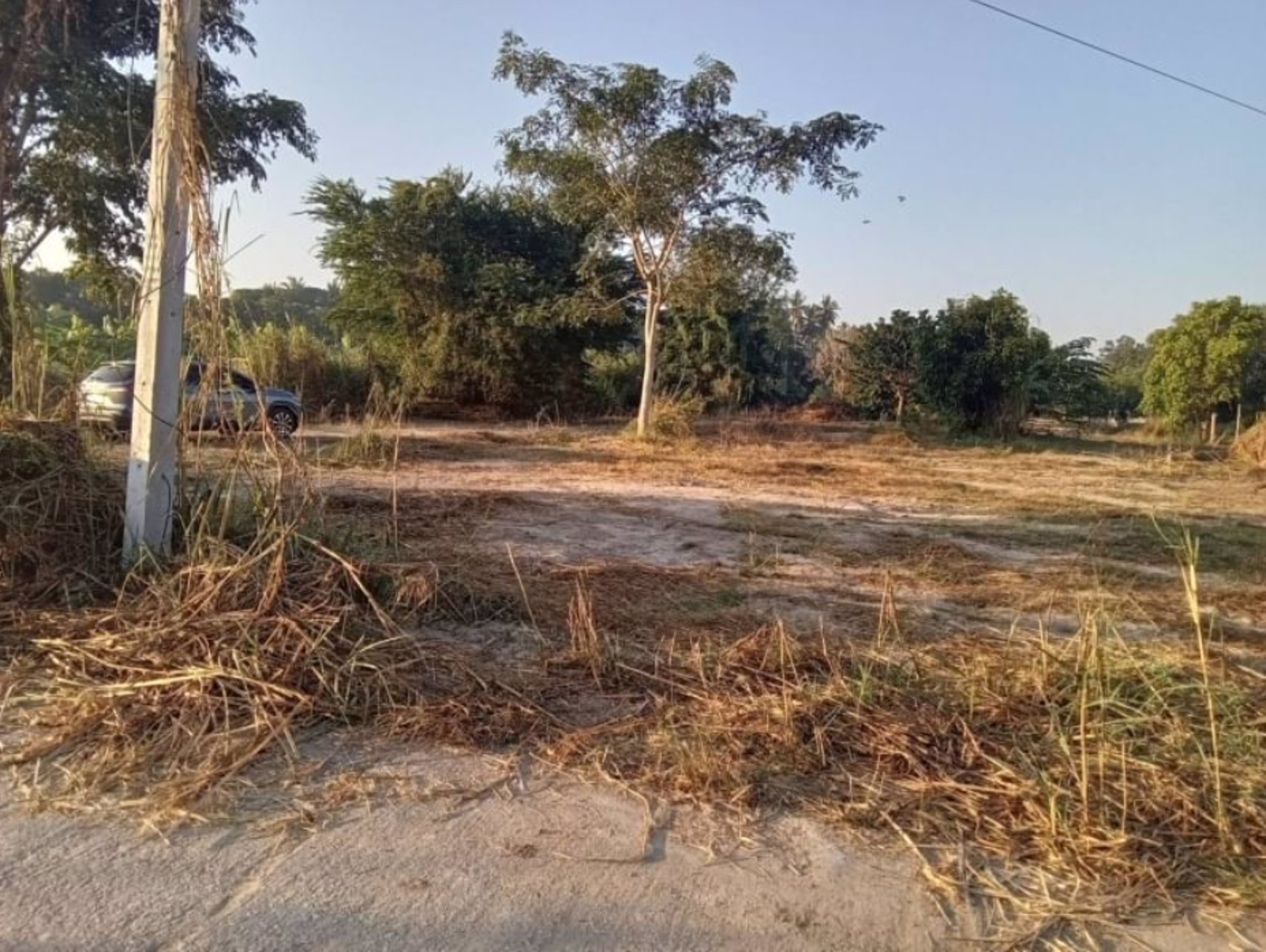 ขายที่ดินแบ่งแปลง-ขนาด-100ตรว