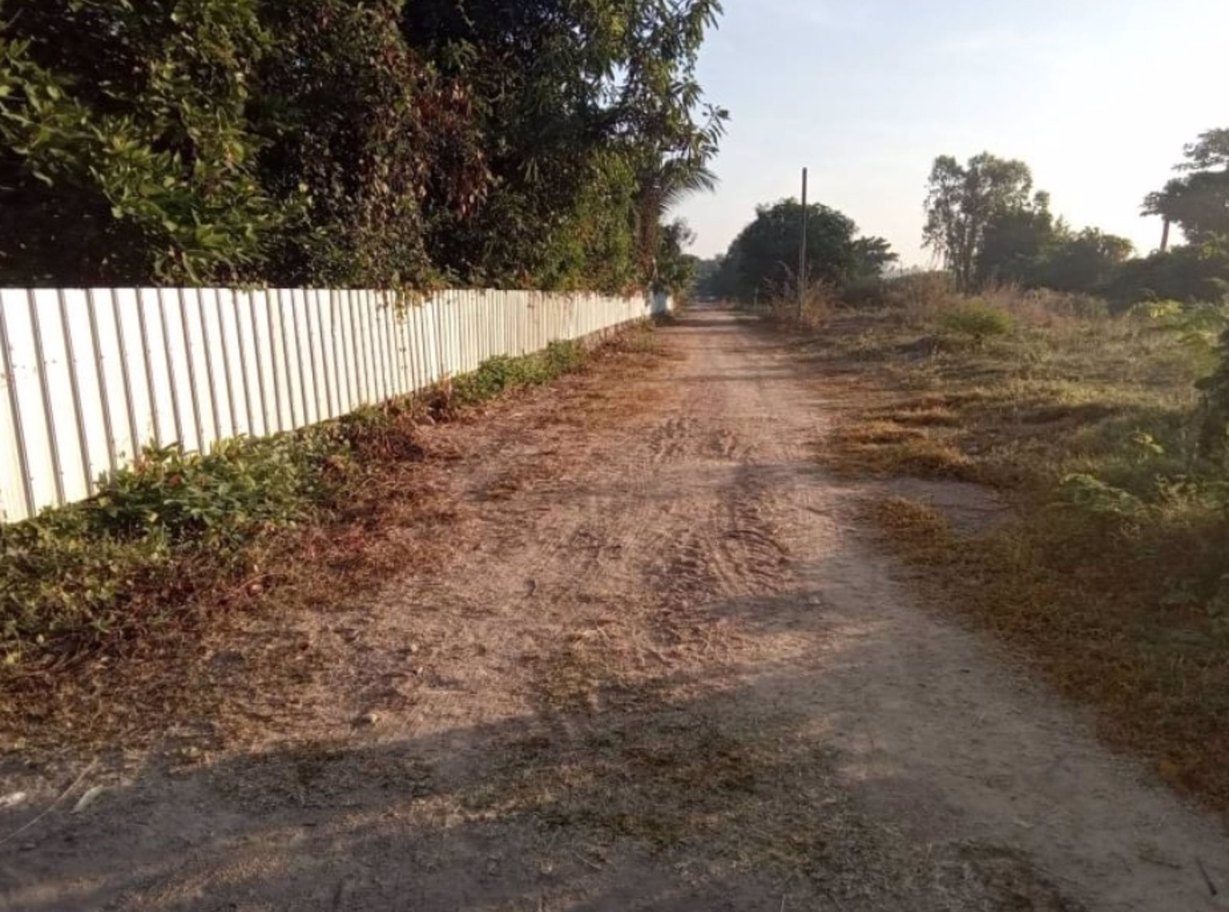 ขายที่ดินแบ่งแปลง-ขนาด-100ตรว