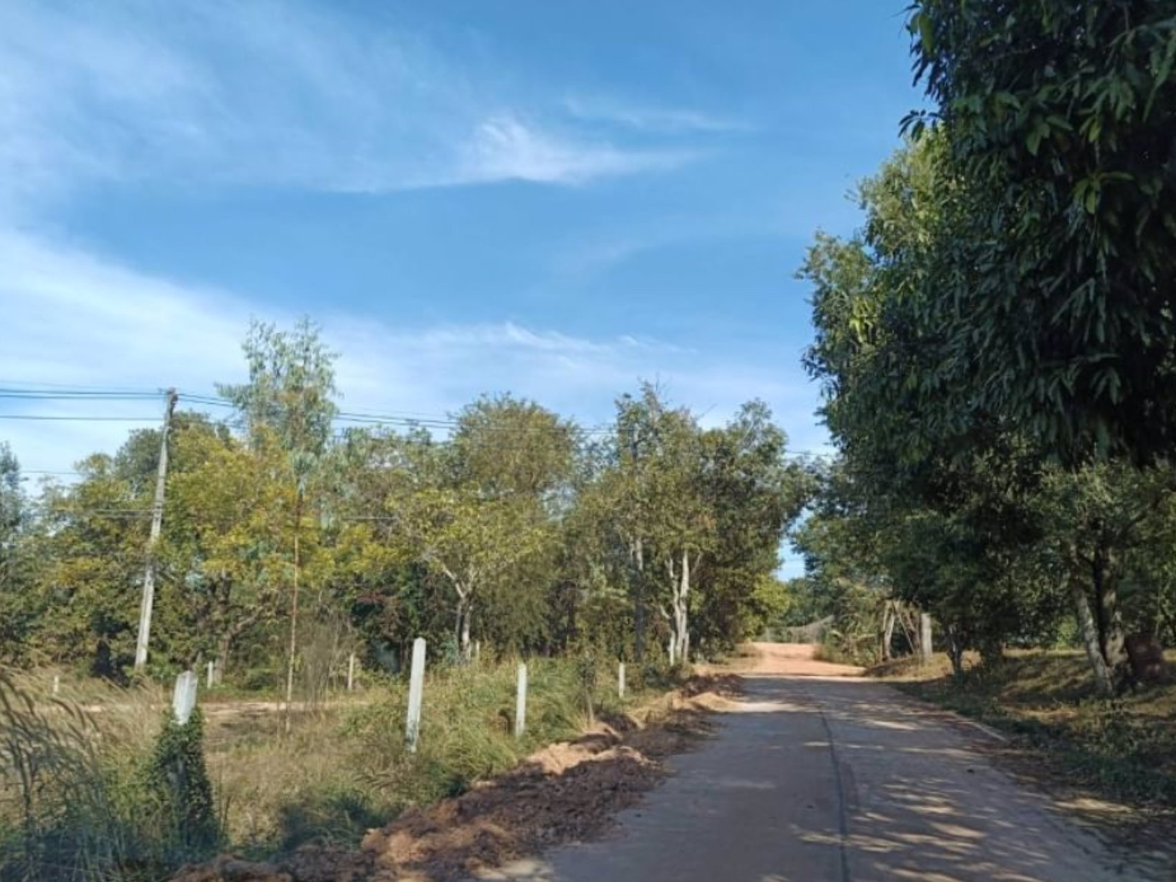 ขายสวนยางพาราในเมืองบึงกาฬ-เนื้อที่-44-ไร่-3-งาน