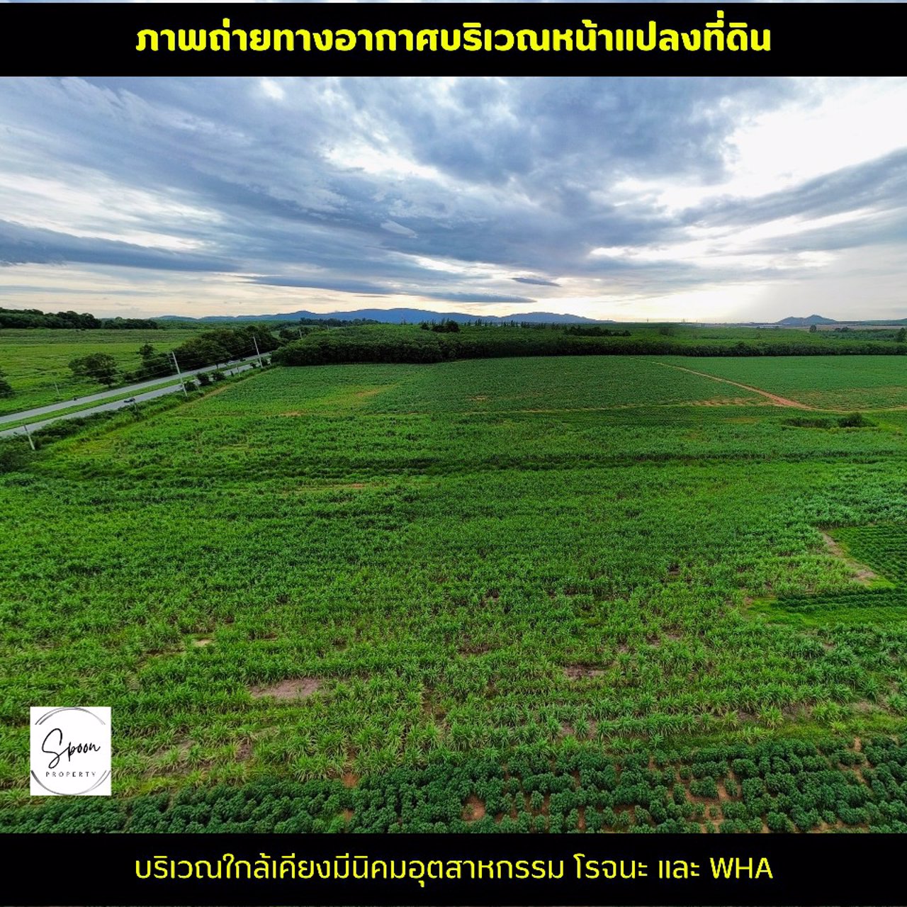 ขายที่ดินแปลงใหญ่ชลบุรี-ติดถนนหลัก-สาย-344-ชลบุรี-ระยอง