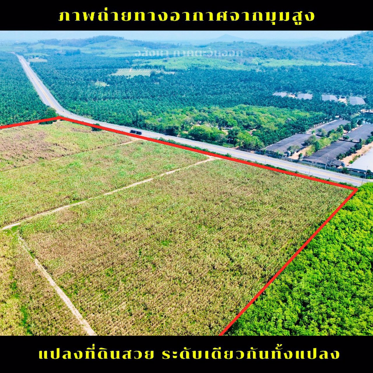 ขายที่ดินแปลงใหญ่-เขตพื้นที่-eec-ภาคตะวันออก-ชลบุรี