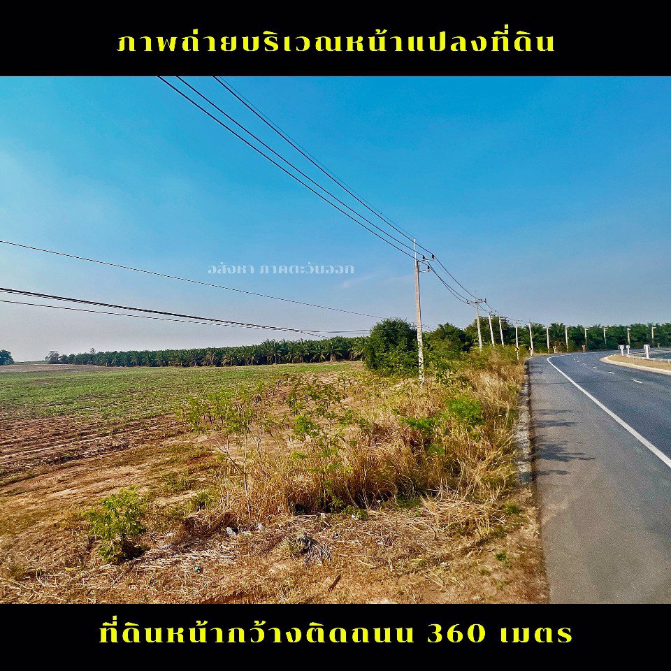 ขายที่ดินแปลงใหญ่-เขตพื้นที่-eec-ภาคตะวันออก-ชลบุรี