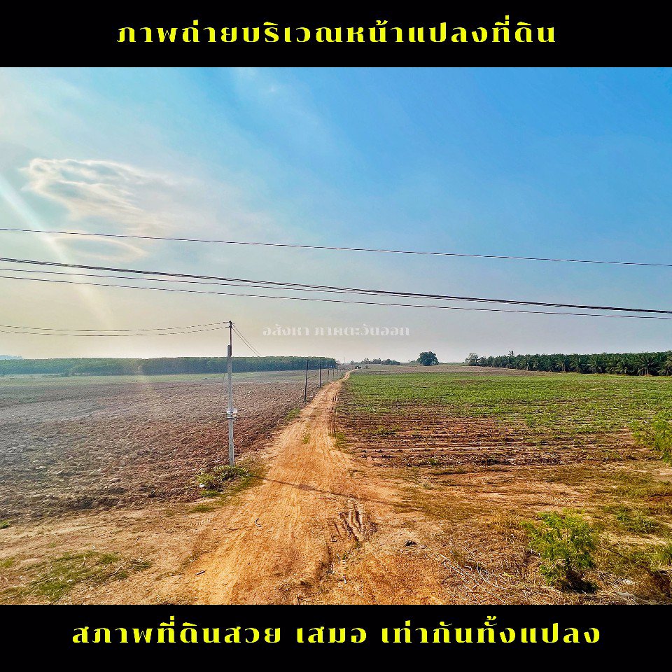 ขายที่ดินแปลงใหญ่-เขตพื้นที่-eec-ภาคตะวันออก-ชลบุรี
