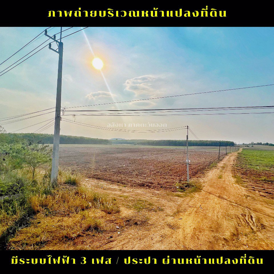 ขายที่ดินแปลงใหญ่-เขตพื้นที่-eec-ภาคตะวันออก-ชลบุรี