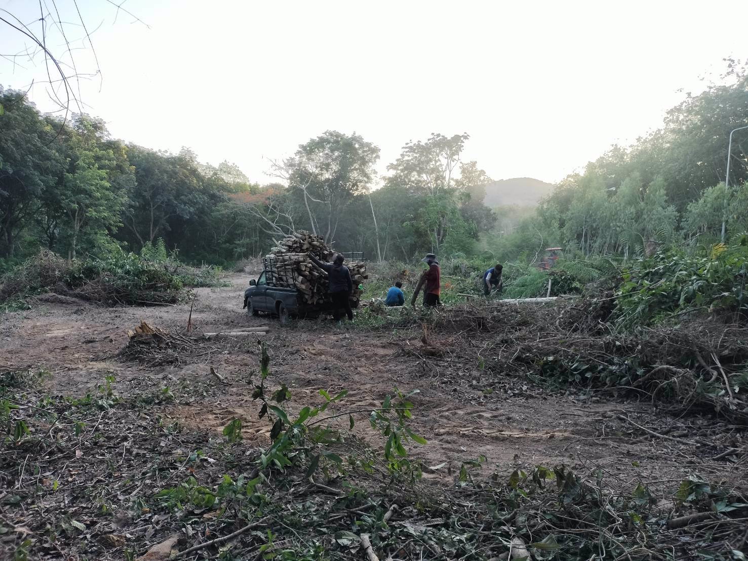 ขายที่ดิน-1-ไร่-2-งานในโครงการสวนเกษตรศิริฟาร์ม-เหมาะสำหรับปลูกเป็นบ้านพักตากอากาศ