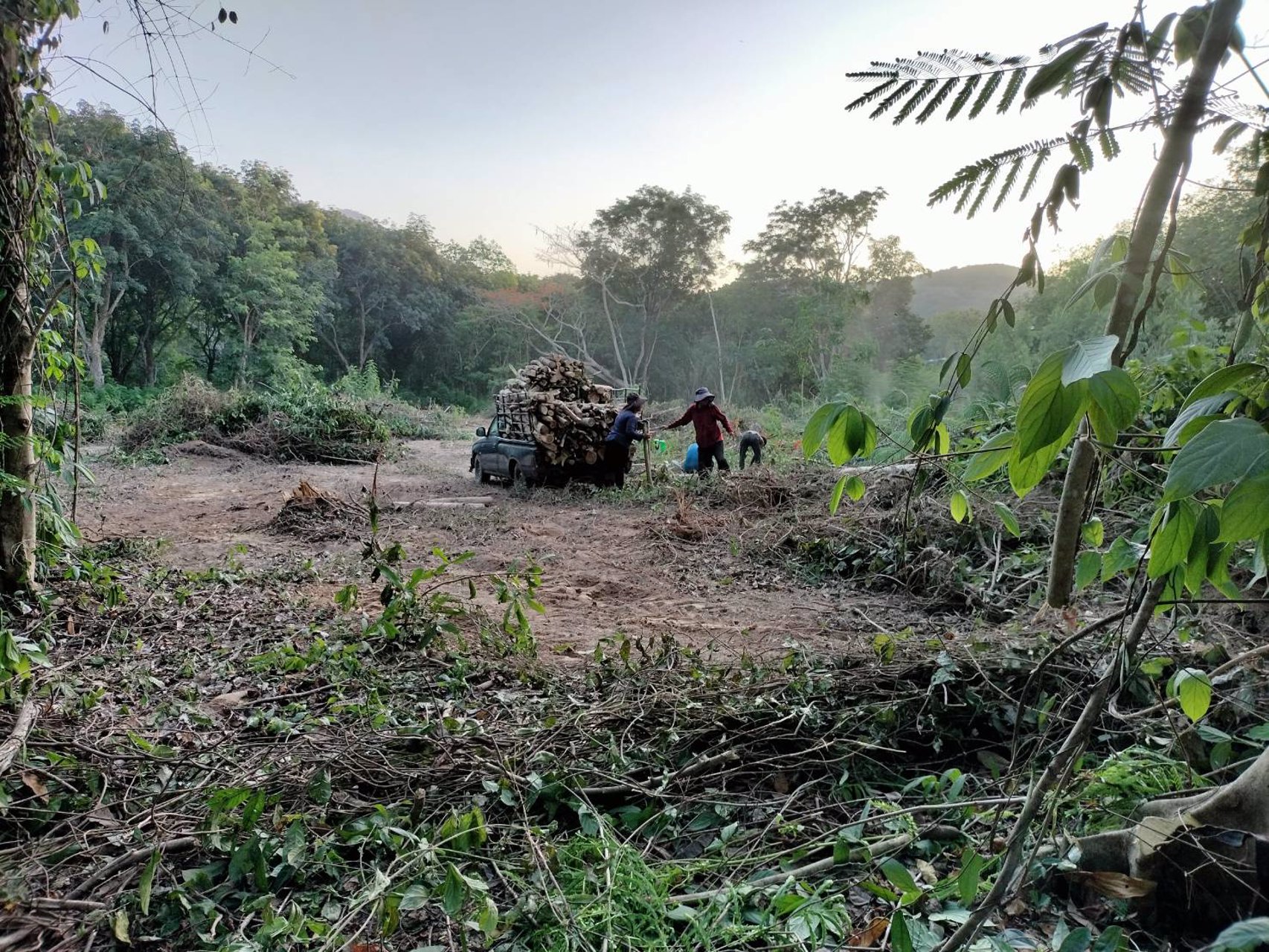 ขายที่ดิน-1-ไร่-2-งานในโครงการสวนเกษตรศิริฟาร์ม-เหมาะสำหรับปลูกเป็นบ้านพักตากอากาศ