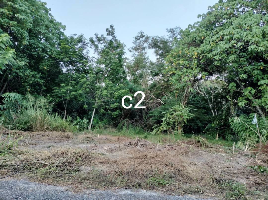 ขายที่ดิน-1-ไร่-2-งานในโครงการสวนเกษตรศิริฟาร์ม-เหมาะสำหรับปลูกเป็นบ้านพักตากอากาศ